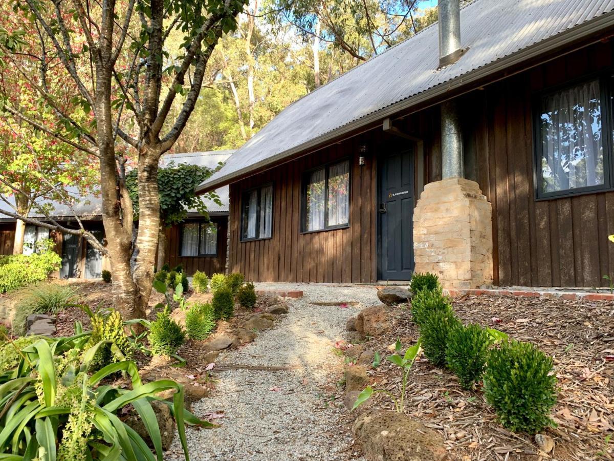 Emerald Star Cottages Dış mekan fotoğraf